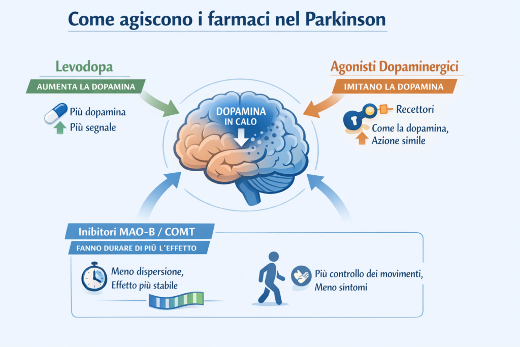 Come agiscono i farmaci nel Parkinson