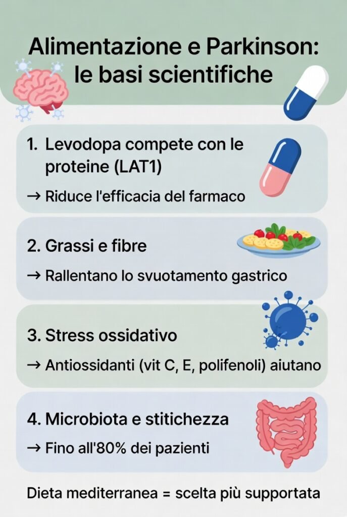 Il legame tra alimentazione e malattia di Parkinson: le basi scientifiche